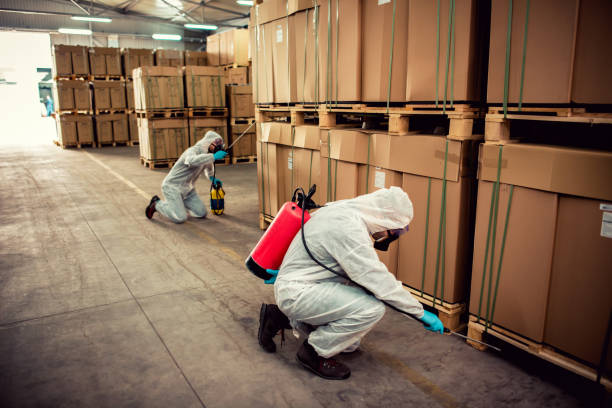 Flea Control Services in Pine Mountain Lake, CA