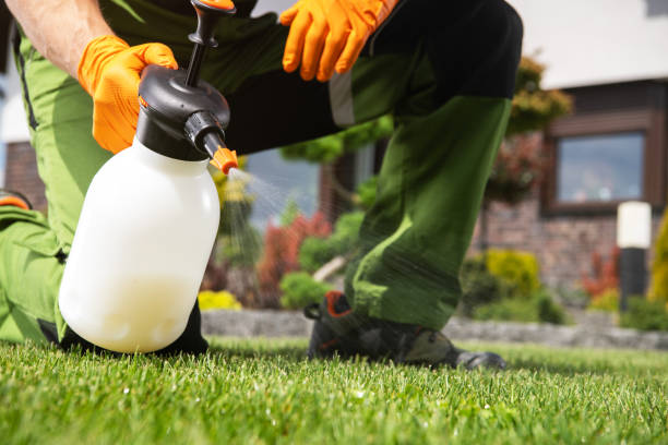 Pine Mountain Lake, CA Pest Control Company