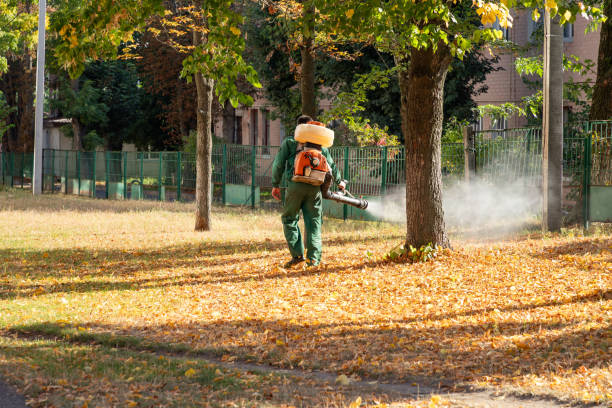 Best Local Pest Control Services  in Pine Mountain Lake, CA
