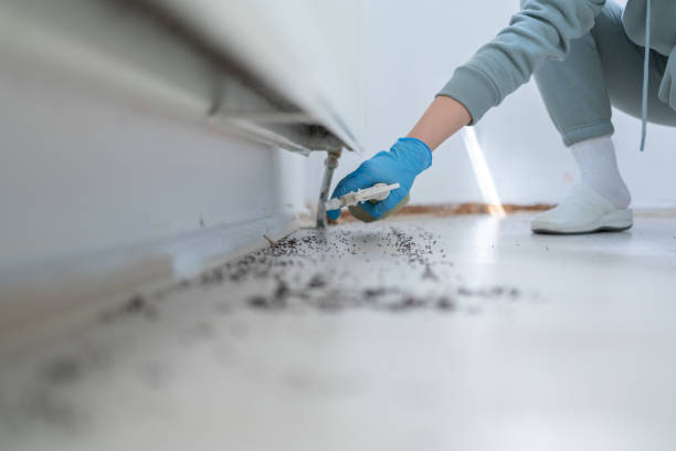 Best Pest Inspection Near Me  in Pine Mountain Lake, CA